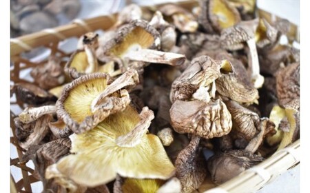 原木椎茸の乾燥しいたけ小葉　240g