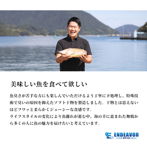 干物 12枚 おまかせ干物セット