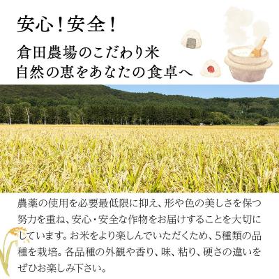 ふるさと納税 岩見沢市 令和7年産北海道岩見沢市産　おぼろづき10kg ≪沖縄・離島配送不可≫ |  | 01