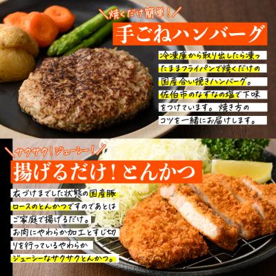 ふるさと納税 佐伯市 <定期便・全6回(2か月毎)>下ごしらえ済み おかず5種セット (5種・合計2.3kg×6回) |  | 03