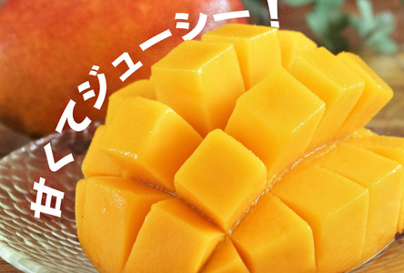 高品質マンゴー　秀品　約2kg（3～5玉）【かっちん南風原マンゴー園】【2027年発送】