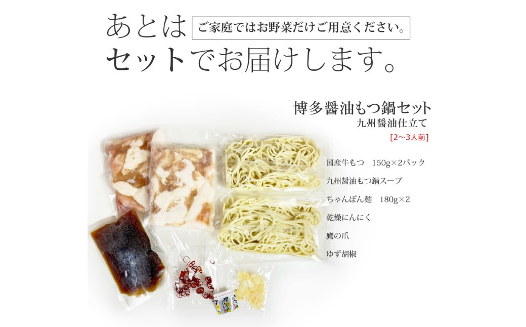 博多もつ鍋セット（九州醤油仕立て） 2～3人前 国産牛もつ300g