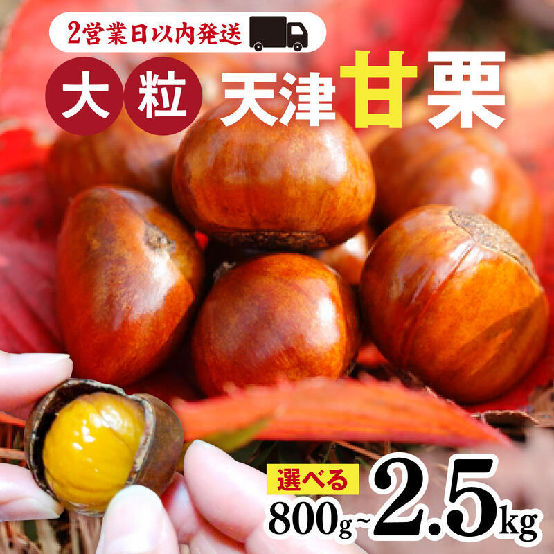 【ふるさと納税】【レビューキャンペーン】【最速発送】【 寄付受付：2025年7月10日まで 】 天津甘栗 選べる容量 800g/1.1kg/1.8kg/2.5kg 栗 兵庫 兵庫県 おやつ 特選大粒栗 大粒 おやつ お菓子 スイーツ 栗好き 焼き栗 焼き 栗 マロン 国産 こだわり製法