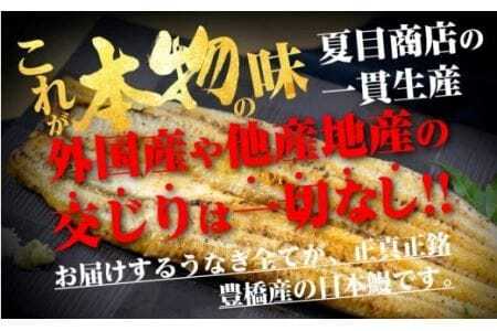 豊橋うなぎ 白焼カット 2kg 夏目商店 うなぎ