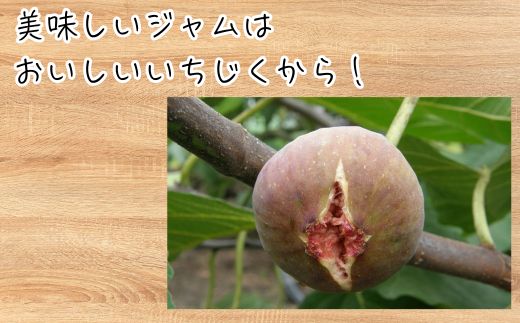 いちじくジャム 2種3本セット 各140g / いちじくジャム ブルーベリージャムジャム いちじく ブルーベリー フルーツジャム 自家栽培 果実 詰め合わせ 食べ比べ パン トースト 贈答 ギフト プ