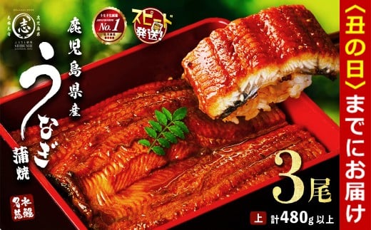 【丑の日までに配送】鹿児島県産うなぎ蒲焼 名水慈鰻 3尾＜計480g以上＞ うなぎ 鰻 ウナギ 3尾 国産 蒲焼 かばやき 冷凍 真空 真空パック 無頭 うな重 ひつまぶし タレ 山椒 a8-090-us