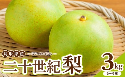 【2026年度発送先行予約】数量限定 二十世紀梨 3kg【梨 なし 二十世紀 果物 フルーツ 3キロ 新鮮 鳥取県 北栄町 おすすめ 人気】