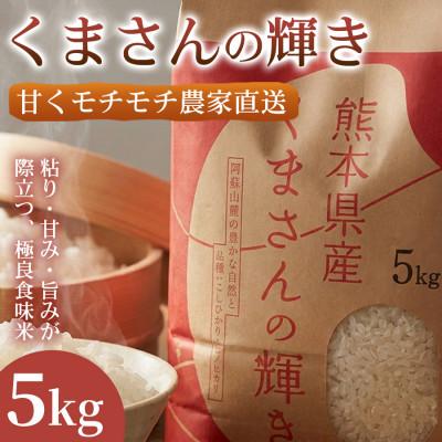 ふるさと納税 錦町 【極良食味】熊本県産くまさんの輝き 5kg 1袋|15年育成の甘み際立つブランド米