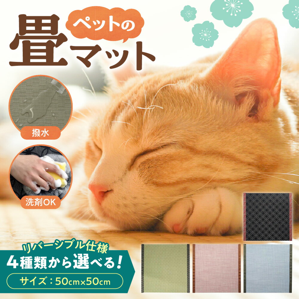 【ふるさと納税】 畳 マット ペット 【 選べる 種類 】 50cm×50cm リバーシブル カラー ブラック ホワイト グリーン モカ ピンク ブルー 撥水 お手入れ簡単 水拭き可 洗剤可 清潔 滑りにくい 猫 犬 北海道 札幌市