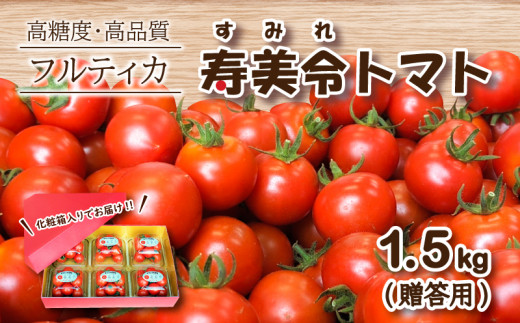 
【 贈答用 】 寿美令トマト フルーツトマト 1.5kg ( 250gパック×6個 ) 化粧箱入り 選べる 発送 月 野菜 新鮮 プチトマト 期間限定 小分け 季節限定 トマト 下関 山口
