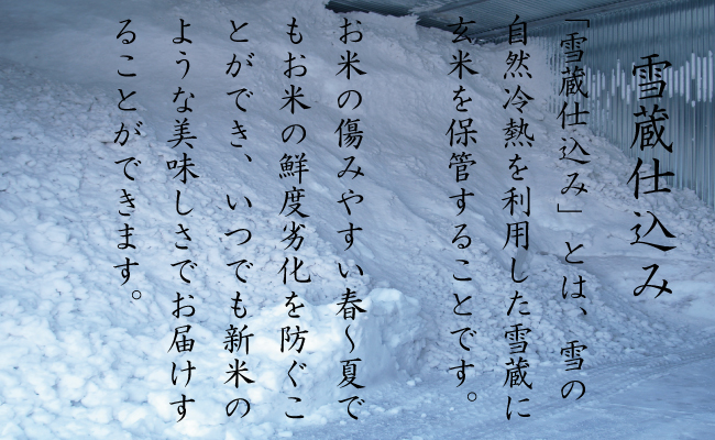 【新米予約　頒布会】南魚沼産こしひかり5kg×全6回　契約栽培  雪蔵貯蔵米
