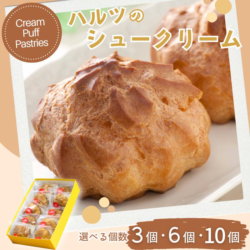 【ふるさと納税】ハルツのシュークリーム 創業40年 選べる（3個／6個／10個）スイーツ 洋菓子 お菓子 おやつ デザート 小分け 個包装 ご褒美 お取り寄せ 人気 冷凍配送 送料無料 佐賀県 佐賀市：A070-003