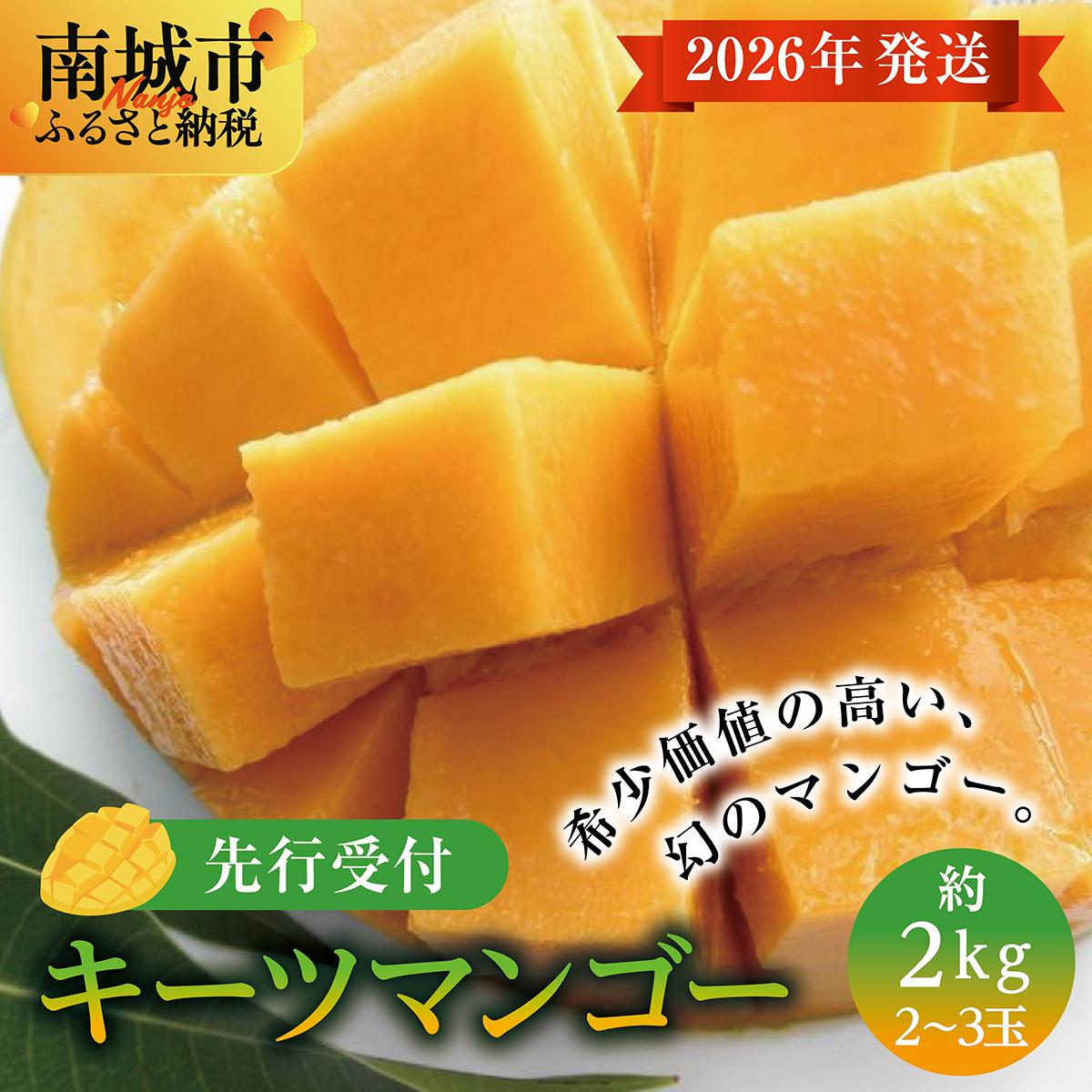 【ふるさと納税】(先行受付)【2026年発送】キーツマンゴー 南城市 約2kg (2～3玉)