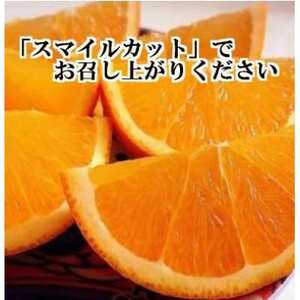 2026年2月～順次発送　柑橘の大トロ!「せとか」約2.5キロ【訳あり品・家庭向け】【C39-65】【配送不可地域：離島】【1619102】