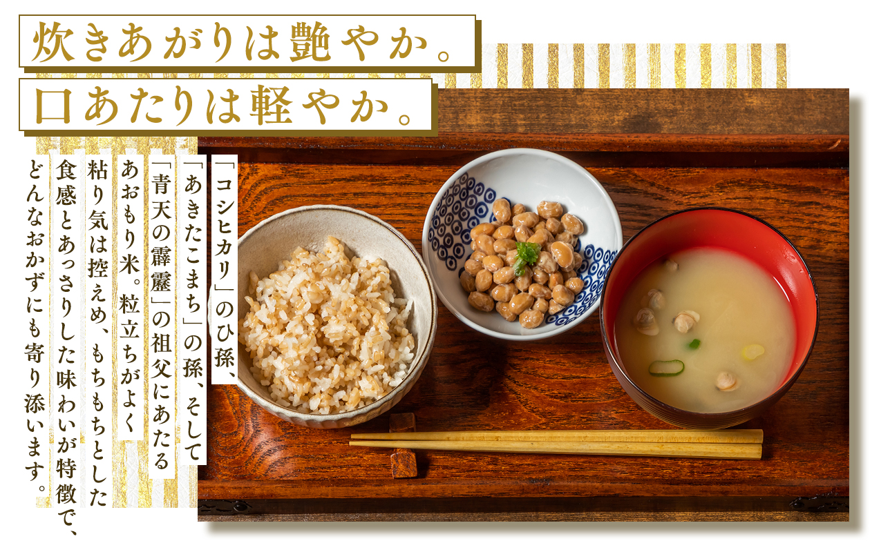 【6月発送】まっしぐら10kg(玄米)【株式会社 tawwel】