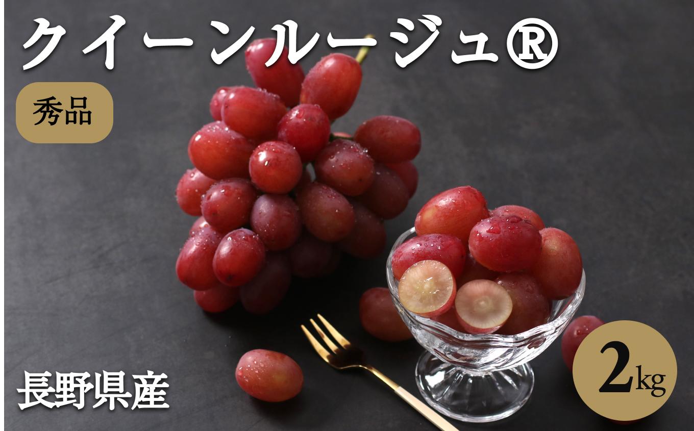 産地厳選! 長野県産 クイーンルージュR 約2kg 秀品 〈2025年10月中旬～11月中旬発送〉 | 果物 くだもの フルーツ ぶどう ブドウ 葡萄 クイーンルージュR 種なし 長野県 信州 南信州 飯田市