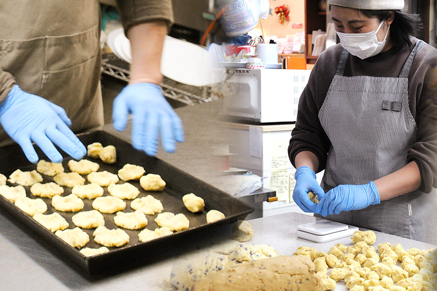 クッキー 10袋 セット 国産 焼き菓子 洋菓子 甘さ控えめ ほろほろ食感 小麦粉 バター使用 香料不使用 保存料無添加 着色料不使用 小分け 贈答用 ギフト おやつ スイーツ 茨城県 潮来市 (A1