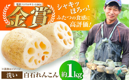 【野菜ソムリエサミット金賞】絶品れんこん約1kg / 蓮根 れんこん レンコン 蓮根 れんこん レンコン 蓮根 れんこん レンコン [IDC001]
