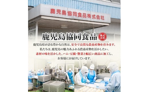 鹿児島黒豚生餃子4種食べ比べセット(計144個・12個×各3P) 国産 九州産 鹿児島県産 黒豚 餃子 ギョウザ おかず 惣菜 弁当 焼くだけ 小分け 簡単 時短 詰合せ 詰め合わせ 冷凍 冷凍食品【