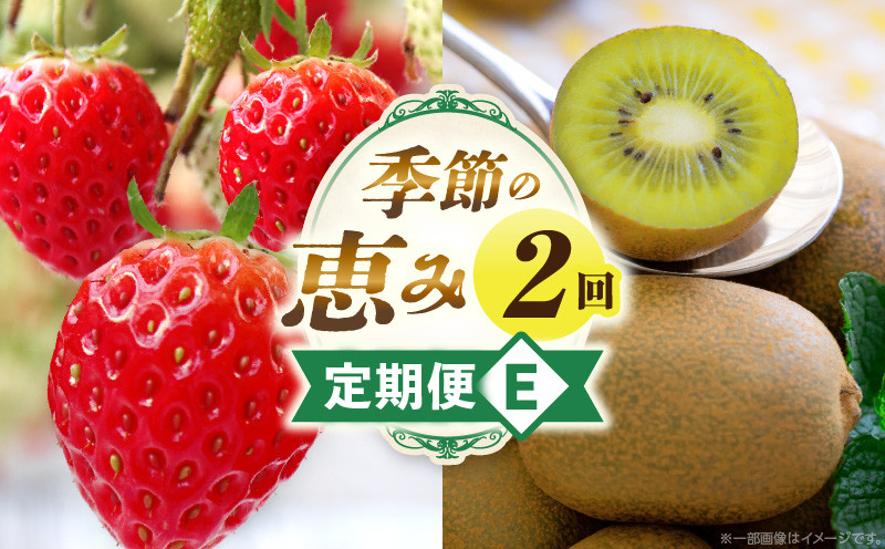 
                  季節の恵み2回定期便E | 果物 フルーツ 定期便 定期 果物定期便 フルーツ定期便 スイーツ デザート 旬の果物 旬のフルーツ 旬の定期便 贈り物 贈答 ギフト 厳選 ギフト ご褒美 いちご キウイ キウイフルーツ 香川県 三木町 |_mk165-t005
                