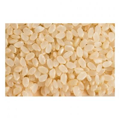 ふるさと納税 安芸太田町 【令和6年産】コシヒカリ　玄米5kg×2袋　計10kg |  | 03