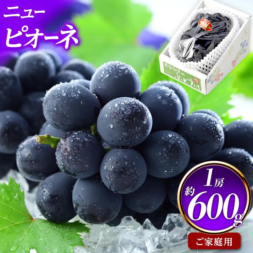 ご家庭用 ニュー ピオーネ 約600g×1房 ｜  ピオーネ