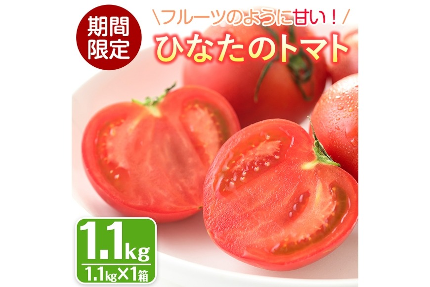 ＜先行予約受付中！2026年2月から順次発送予定＞ひなたのとまと(1.1kg)トマト フルーツトマト 糖度 9度 以上 野菜 旬野菜 冷蔵 国産 宮崎県産【A-4】【新門トマト農園】