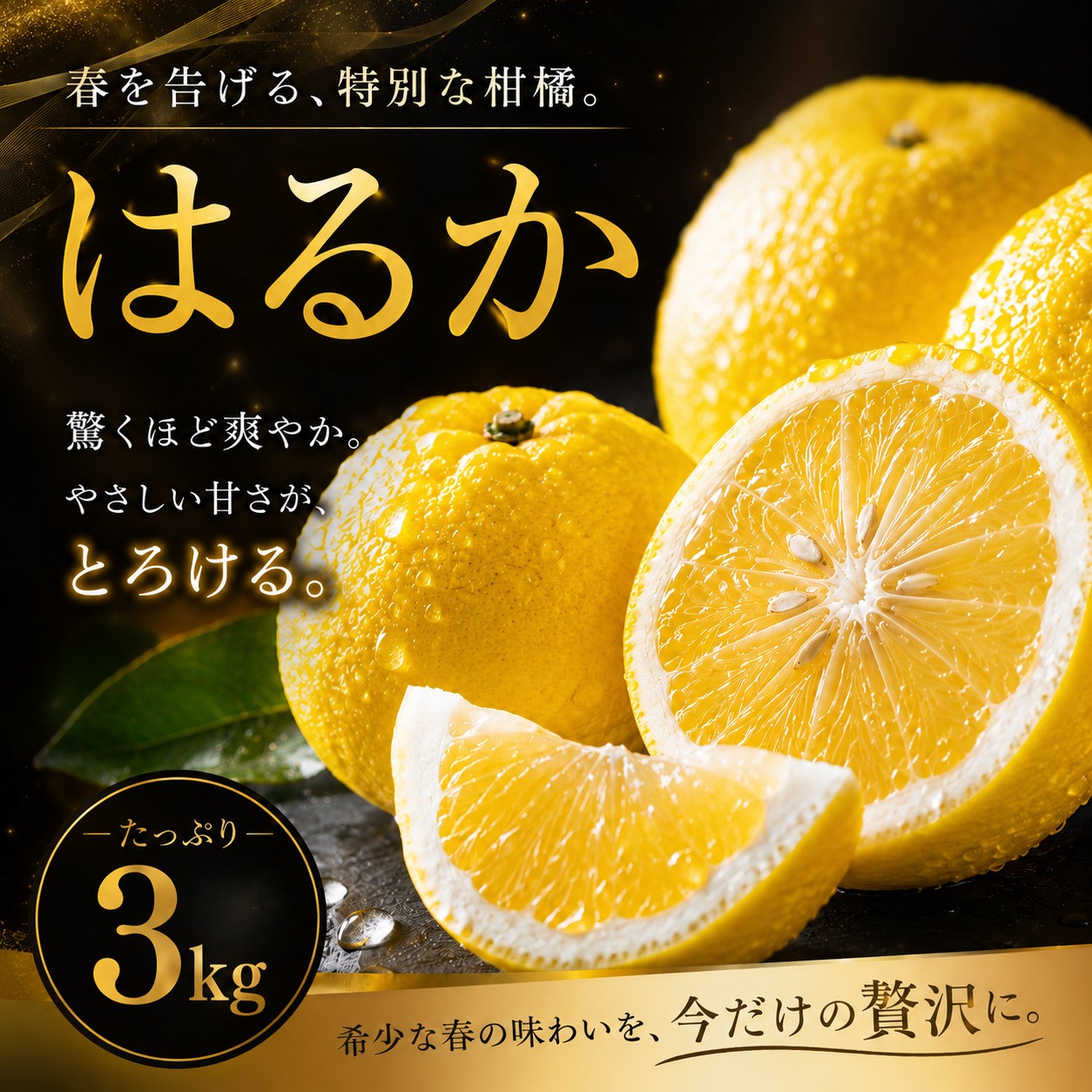 
                  【選ぶならこれ】 酸味ほぼなし 【はるか】 3kg 愛媛県産 【2027年2月上旬頃から順次発送】 | みかん ミカン mikan 蜜柑 訳ありフルーツ 柑橘 果物 おすすめ お勧め お取り寄せ ギフト 愛媛県 松山市
                