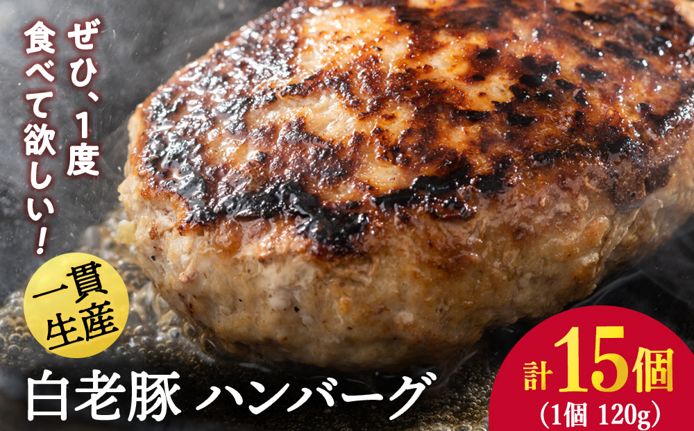 北海道産 白老豚 ハンバーグ 120ｇ×15個セット BV002