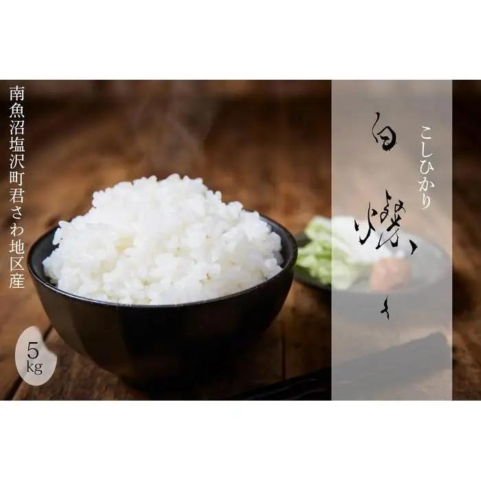 【令和8年新米予約】南魚沼君沢産こしひかり 白燦々5kg（従来品種）【2026年10月初旬より1ヵ月以内に順次発送予定白燦々｜こしひかり
