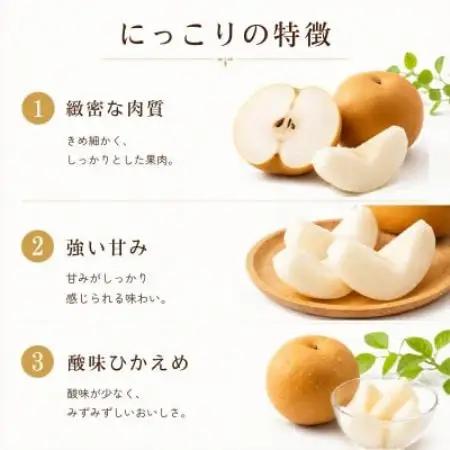 にっこり 梨 5kg (8～12玉)【2026年発送】かすみがうら市【配送不可地域：離島・沖縄県】【1743818】