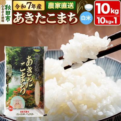 ふるさと納税 秋田市 米 あきたこまち 10kg 令和7年産 白米 田口商店|15_tgs-011001