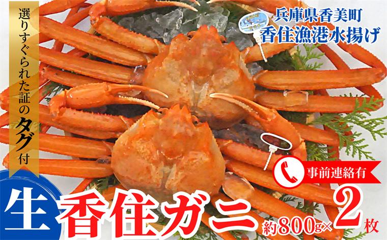 【香住ガニ（生）大 タグ付き 約800g×2枚 冷蔵】但馬漁協が直接販売する商品です。受注後、水揚げがあり次第、漁協から配送日調整の電話が入ります。タグ付きの立派なカニを提供 遊魚館 03-07