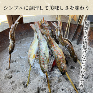川魚 あめご 4尾 400g前後 アマゴ【川魚】