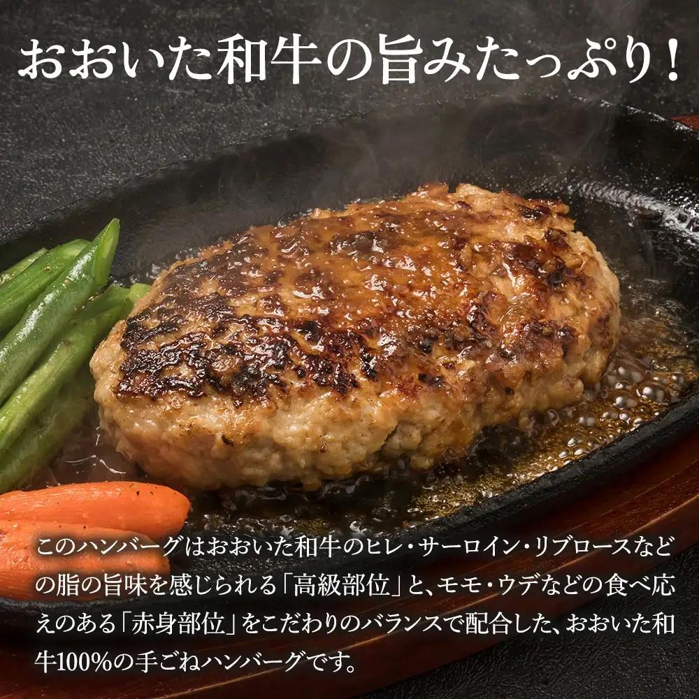 ハンバーグ おおいた 和牛100％ 生ハンバーグ 150g×6個 | 津久見市