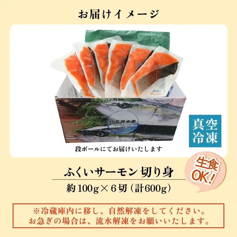 ふくいサーモン切り身 600g  (100g×6切) ＜鮮度抜群！＞ ／サーモン 鮭 [aw002-b003]