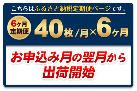 【6ヶ月定期便】訳あり 一番摘み 有明海産 海苔 40枚 《お申込み月の翌月から出荷開始》熊本県産（有明海産） 海苔 定期便 全形40枚入り 長洲町 