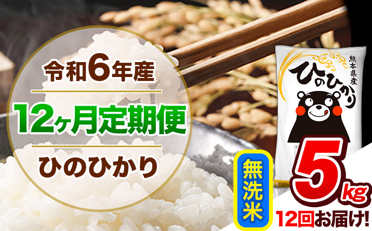 【12ヶ月定期便】令和6年産 定期便 無洗米 ひのひかり 5kg 《申込み翌月から発送》令和6年産 熊本県産 ふるさと納税 精米 ひの 米 こめ ふるさとのうぜい ヒノヒカリ コメ 熊本米 ひのもり