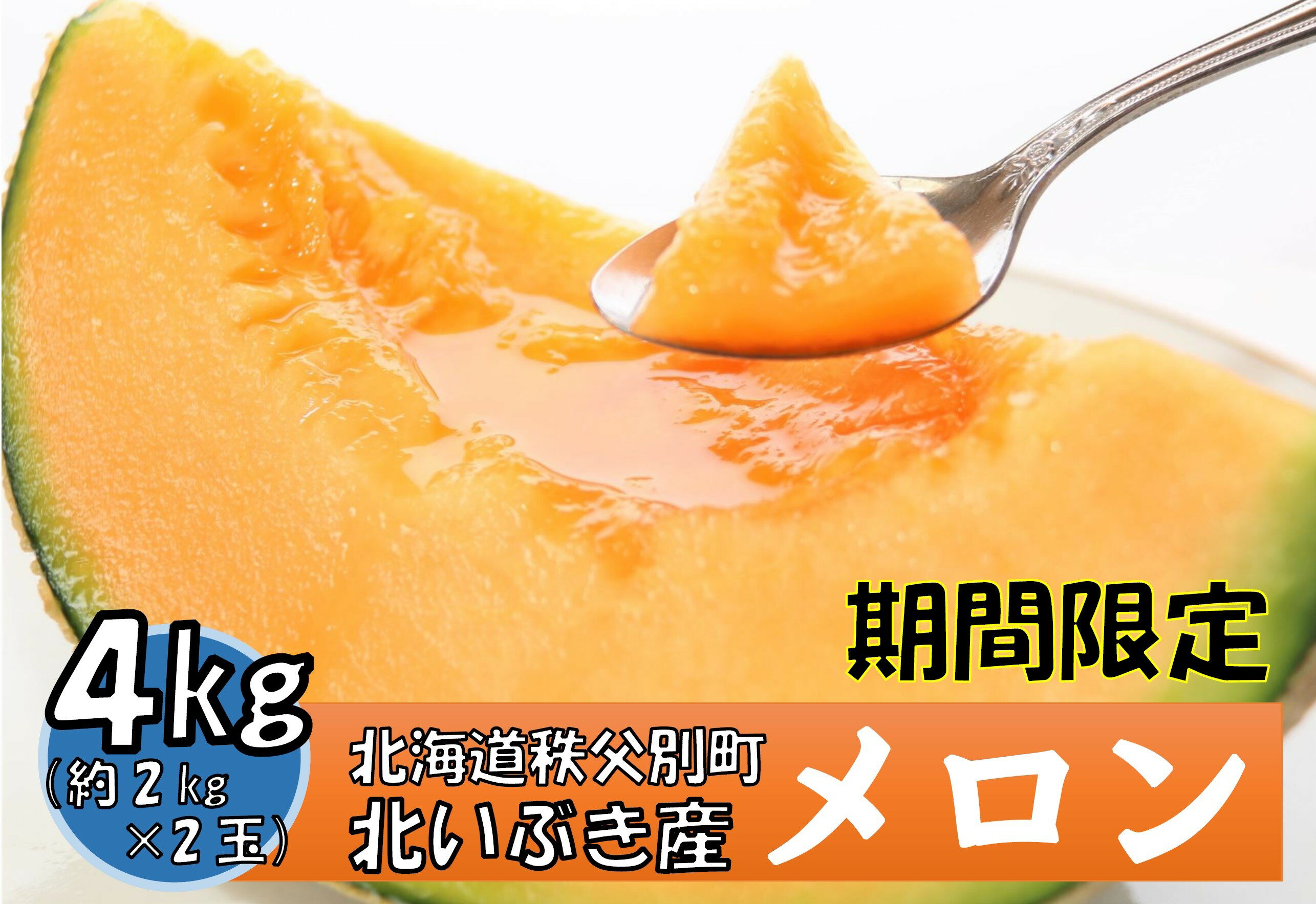【先行受付】【ふるさと納税】令和8年産 ふるさと納税 メロン 赤肉メロン2玉