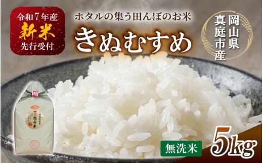 【令和7年産先行予約】令和７年新米 真庭市産きぬむすめ 無洗米 ５kg / お米 国産 岡山県 真庭市 無洗米 米 きぬむすめ キヌムスメ 人気 ブランド米 新米 先行予約 令和7年産 2025年産
