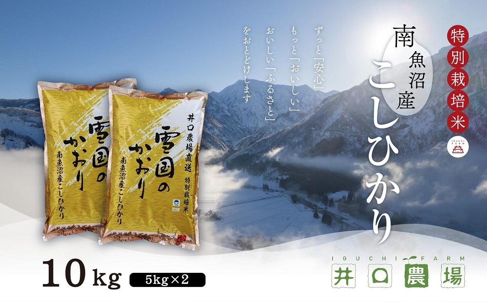 新米【令和8年産】南魚沼産コシヒカリ10kg 井口農場こだわりの 特別栽培米【銘柄米 ブランド米  精米 こしひかり コシヒカリ 魚沼産 南魚沼産 新潟米 新潟県産 国産米 産地直送 ご飯 御飯 ごは