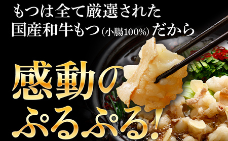 和牛もつ鍋 醤油味 10人前（5人前×2セット） 国産 和牛 醤油 博多グルメ もつ鍋 鍋 小腸 ホルモン モツ鍋 もつなべお土産 冬 福岡県 福岡 九州 グルメ お取り寄せ