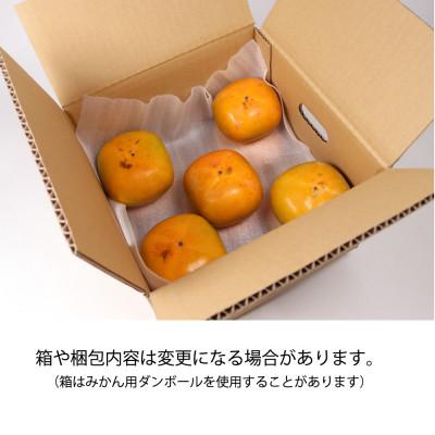 ふるさと納税 美浜町 家庭用 たねなし柿10kg【訳あり】【刀根早生・平核無柿(ひらたねなしかき)】 |  | 03