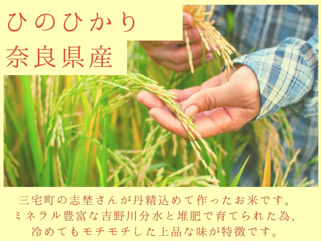 【3回定期便】「ひのひかり」白米 5kg × 3ヶ月 連続でお届け 全15kg 奈良県 三宅町 志埜米穀店 ヒノヒカリ 冷めてもおいしい もちもち 堆肥ミネラル栽培米