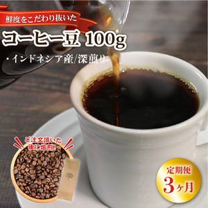 3ヶ月 定期便 コーヒー 豆 100g インドネシア 深煎り 自家焙煎 コーヒー豆 注文焙煎 ストレートコーヒー アイスコーヒー coffee エスプレッソ カフェオレ 朝食 岩手県 大船渡市