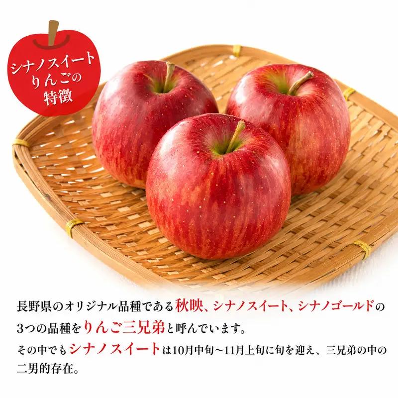 りんご JAうえだ シナノスイート 訳あり 約10kg  果物 りんご