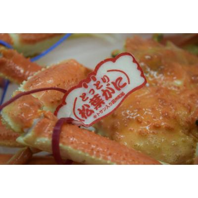 ふるさと納税 鳥取県 茹で　松葉かに　タグ付き大サイズ(約700g×2尾) |  | 01