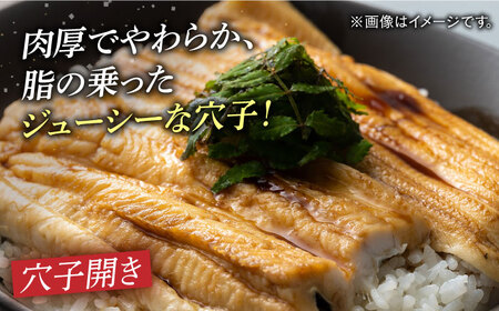 【全3回定期便】対馬 穴子 セット 500g《対馬市》【海風商事】国産 九州 長崎 煮穴子 白焼き[WAD038] コダワリ穴子・あなご・アナゴ こだわり穴子・あなご・アナゴ おすすめ穴子・あなご・ア
