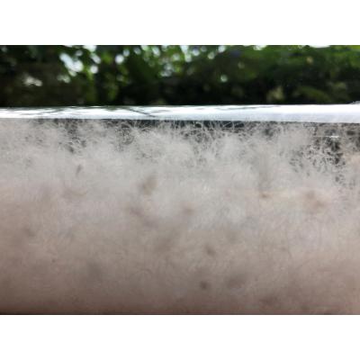 ふるさと納税 柏原市 体格のよい方向け　縦横に大きく仕立てた羽毛ふとん+和晒しガーゼで作ったカバー(アイボリー)のセット |  | 02