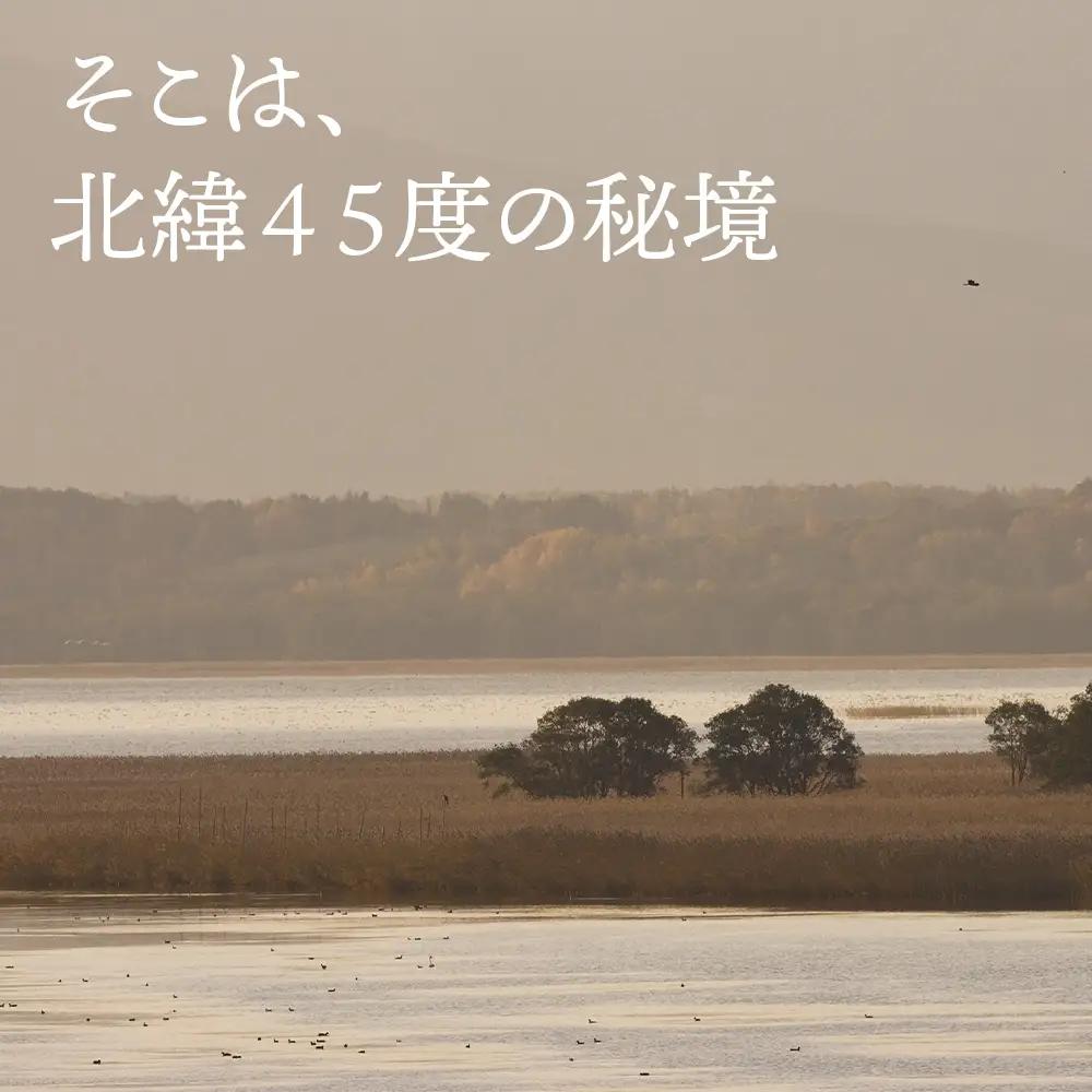 カヌー 体験 チケット 1名様《クッチャロ湖エコワーカーズ》秘境 ショートコース クッチャロ湖 アウトドア